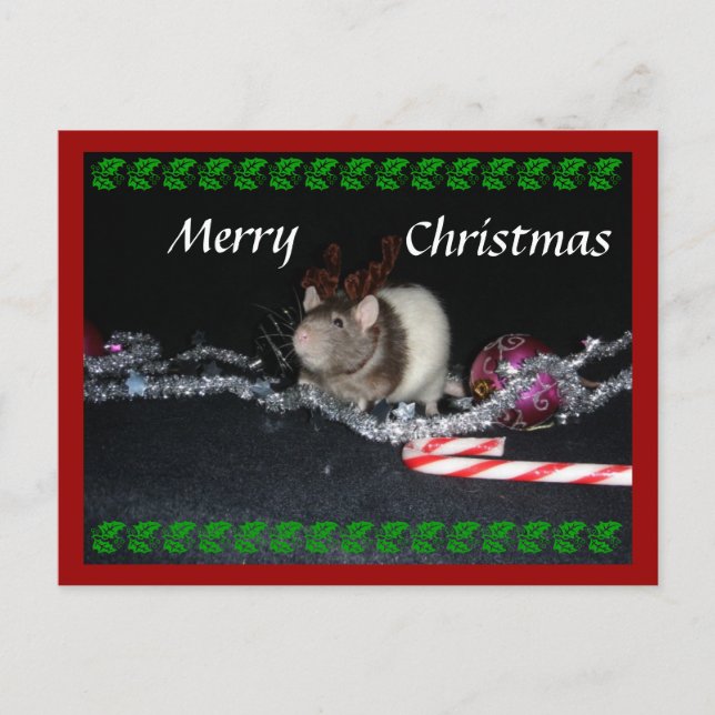 Stormy Christmas Holiday Postcard (Front)