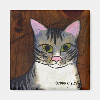 'Stormy' Magnet