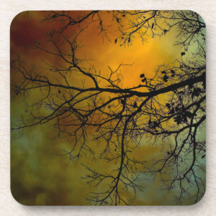 Stormy morning with tree coaster set