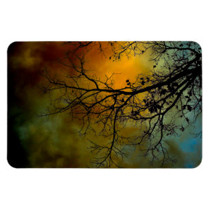 Stormy morning with tree magnet