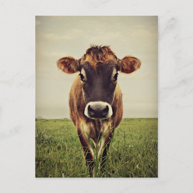 Stormy Postcard (Front)