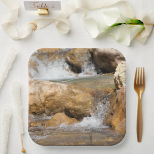 Stormy stream in spring paper plate