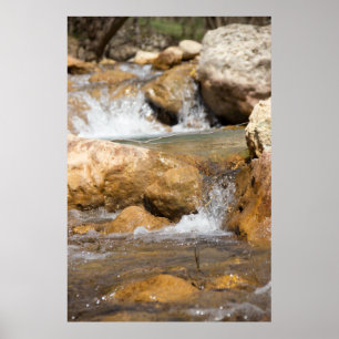 Stormy stream in spring poster