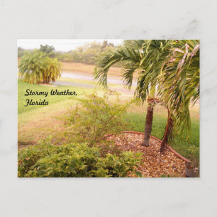 Stormy weather florida Postcard