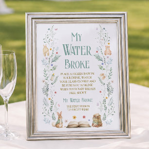 Story Book Baby Shower My Water Broke Game Poster