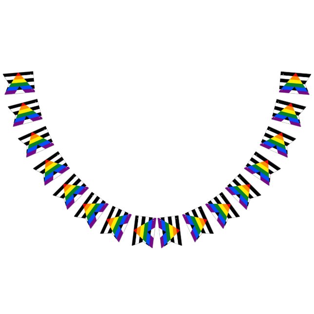 Straight Ally Flag Bunting Banner LGBT Party (All)