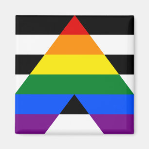 Straight Ally Pride Magnet