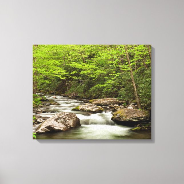 Straight Fork Flows Through Forest Canvas Print (Front)
