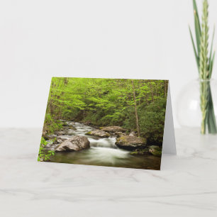 Straight Fork Flows Through Forest Card