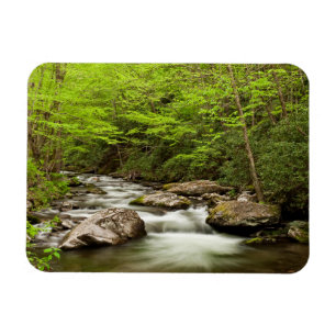 Straight Fork Flows Through Forest Magnet