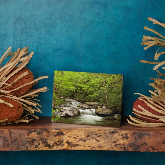 Straight Fork Flows Through Forest Plaque (Side)