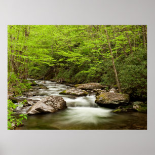 Straight Fork Flows Through Forest Poster