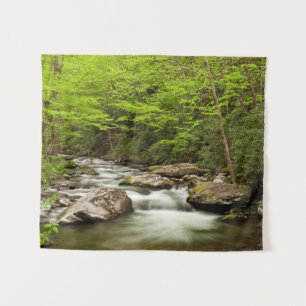Straight Fork Flows Through Forest Tapestry