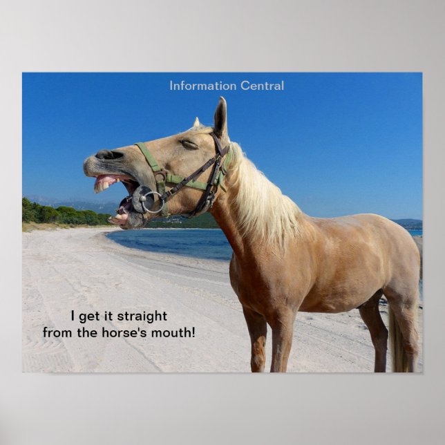 Straight From the Horse's Mouth 16"x12" Poster (Front)