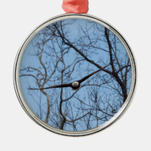 Straight On Eagle Metal Tree Decoration