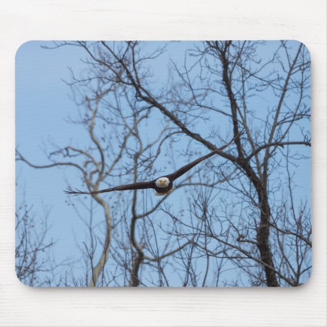 Straight On Eagle Mouse Mat (Front)