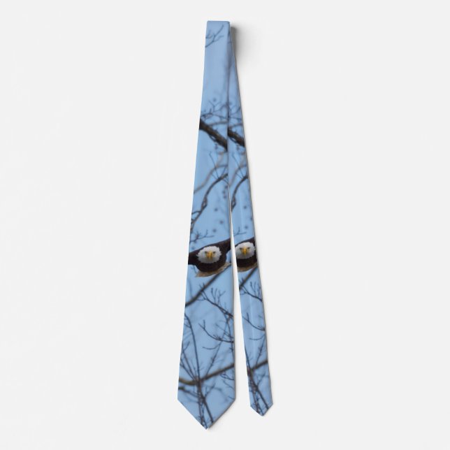 Straight On Eagle Neck Tie (Front)