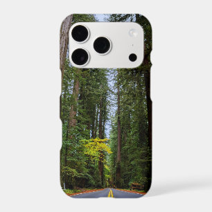 Straight Road Ahead Through Misty Redwood Forest