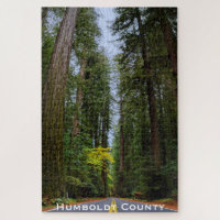 Straight Road Ahead Through Misty Redwood Forest
