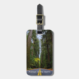 Straight Road Ahead Through Misty Redwood Forest Luggage Tag