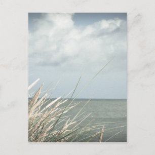 Strand Postcard