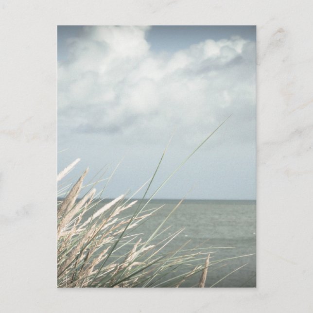Strand Postcard (Front)