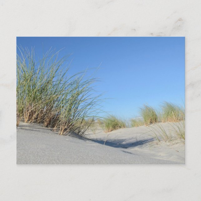 Strand Postcard (Front)