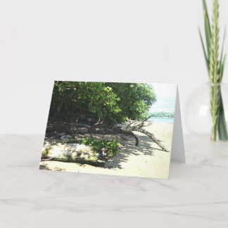 stranded 8x10 2 card