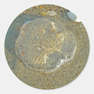 Stranded Jellyfish Series Coordinating Iems Classic Round Sticker