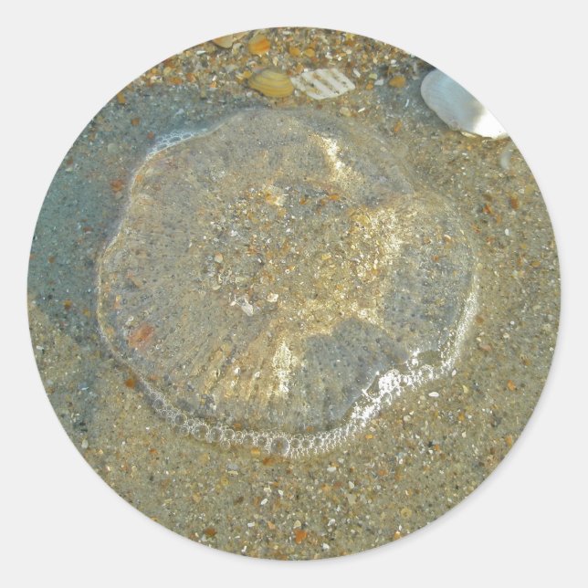 Stranded Jellyfish Series Coordinating Iems Classic Round Sticker (Front)