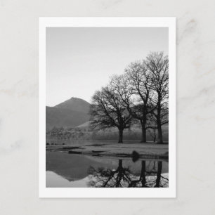 Strandshag Bay Reflections at Derwentwater Postcar Postcard