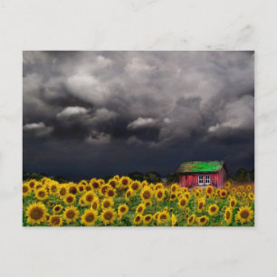 Strange Day , Postcard