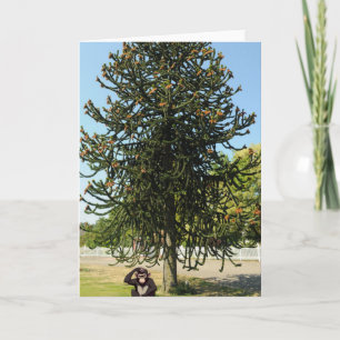 Strange enough to puzzle a monkey. card