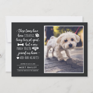 Strange Times New Pet Photo Announcement   Black