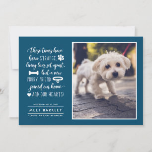 Strange Times New Pet Photo Announcement Blue