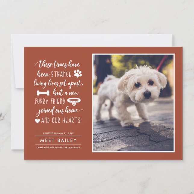 Strange Times New Pet Photo Announcement | Orange (Front)