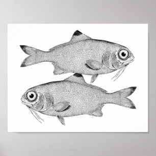 Strange vintage fish drawing poster
