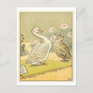Strange Vintage Illustration with Goose and Owl Postcard