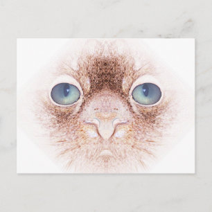 Strangealienpetcat Postcard