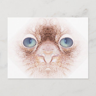 Strangealienpetcat Postcard