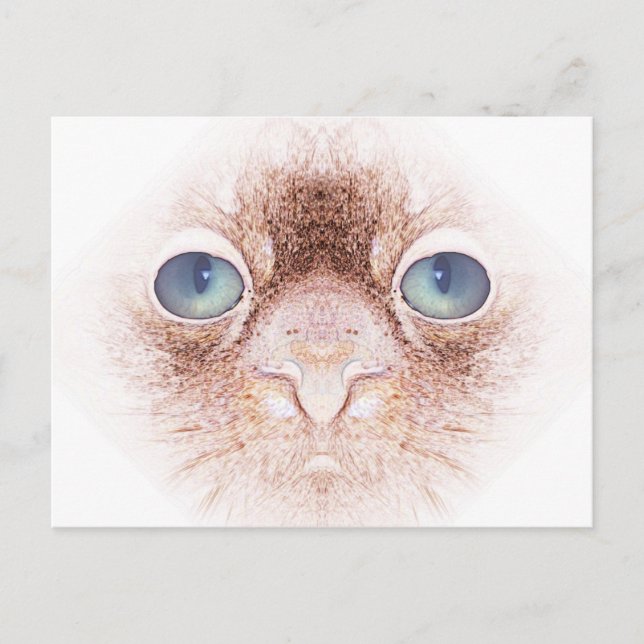Strangealienpetcat Postcard (Front)
