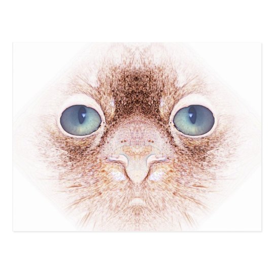 Strangealienpetcat Postcard