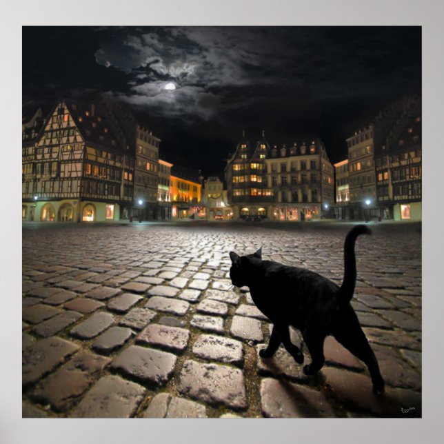 Strasbourg's night poster (Front)