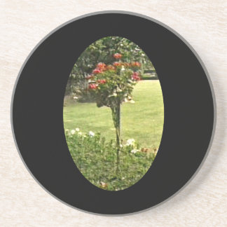 Stratford-upon-Avon England Garden Roses jGibney Coaster