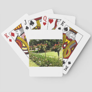 Stratford-upon-Avon Garden Rose snap-29602 jGibney Playing Cards