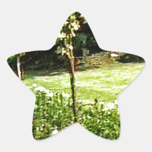 Stratford-upon-Avon Garden Rose snap-29602 jGibney Star Sticker