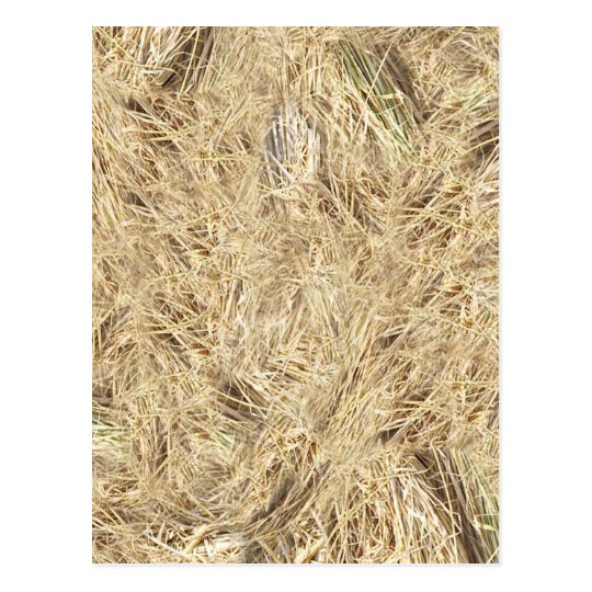 Straw Background Postcard