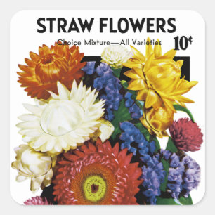 Straw Flowers Seed Packet Label