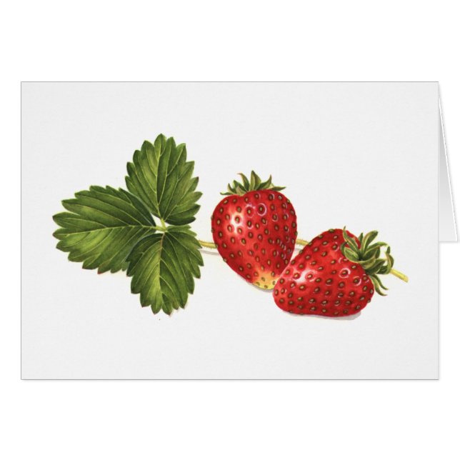 Strawberries (Front Horizontal)