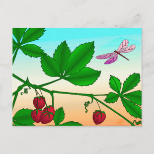 Strawberries and Dragonfly print Postcard